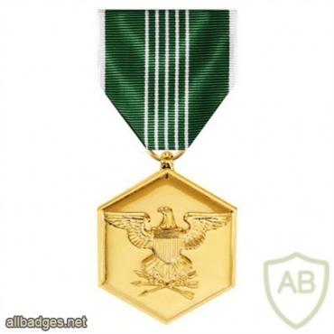 Army Commendation Medal img37647