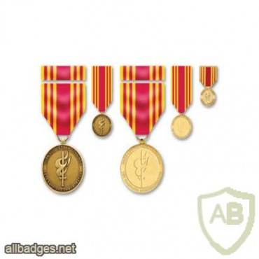 Vietnam TET Offensive Commemorative Medal img37904