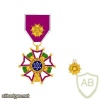 Legion of Merit Medal, Officer img37773