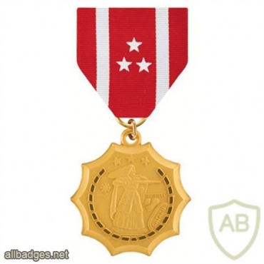 Philippine Defense Medal img37840