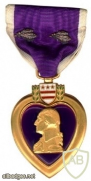 Purple Heart Medal img37853