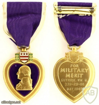 Purple Heart Medal img37854