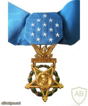 Medal of Honor, Army, current type img37789