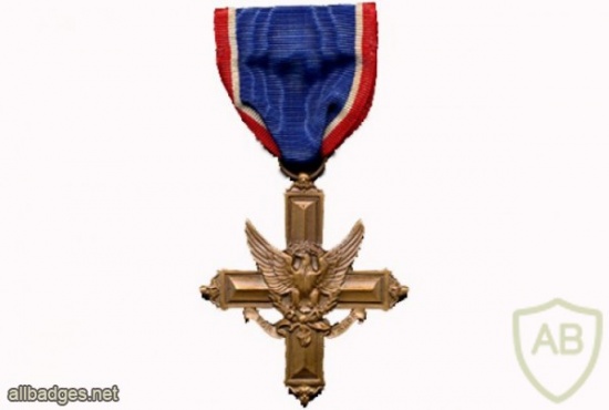 Distinguished Service Cross, current img37690
