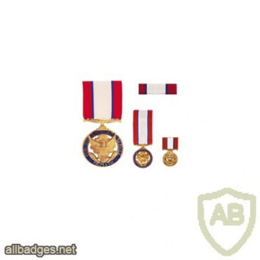 Army Distinguished Service Medal img37653