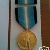 Antarctica Service Medal img37629