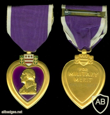Purple Heart Medal img37855
