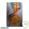 Defense Distinguished Service Medal img37686