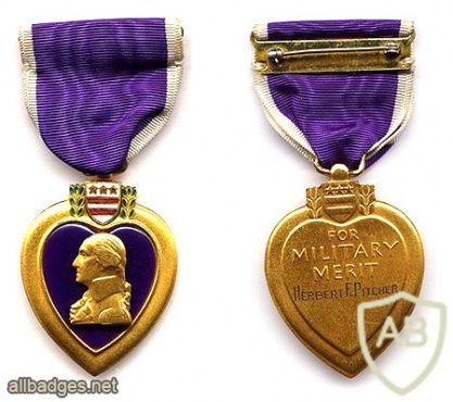 Purple Heart Medal img37850
