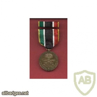 Liberation Of Kuwait Commemorative Medal img37781