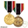 Liberation Of Kuwait Commemorative Medal img37780