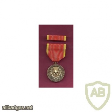 Meritorious Unit Citation Commemorative Medal img37799