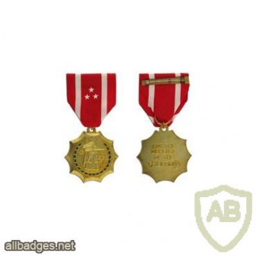 Philippine Defense Medal img37842