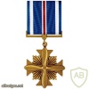 Distinguished Flying Cross img37689