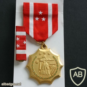 Philippine Defense Medal img37841