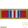 Army Valorous Unit Award