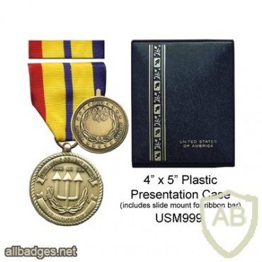Combat Action Commemorative Medal img38126