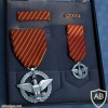 Air Force Combat Action Medal img38023