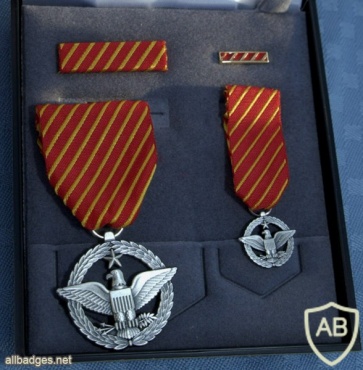 Air Force Combat Action Medal img38023