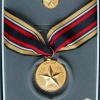 Department of the Navy - Civilian Medal for Valor