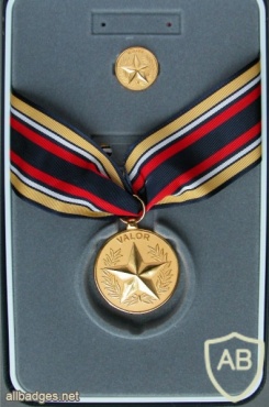 Department of the Navy - Civilian Medal for Valor img38168