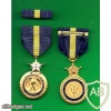 Navy Distinguished Service Medal img38163