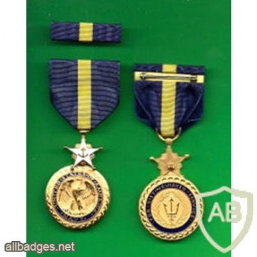 Navy Distinguished Service Medal img38163