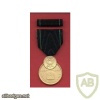Navy Expert Pistol Shot Medal, anodized img38195