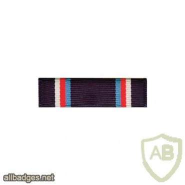 Air Force Military Training Instructor Ribbon img38035