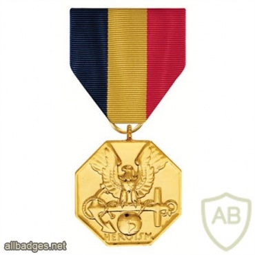 Navy and Marine Corps Medal img38277