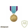 Coast Guard Distinguished Service Medal img38379