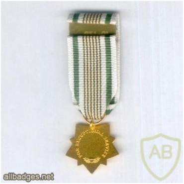 Border Patrol Exceptional Service Medal img38344