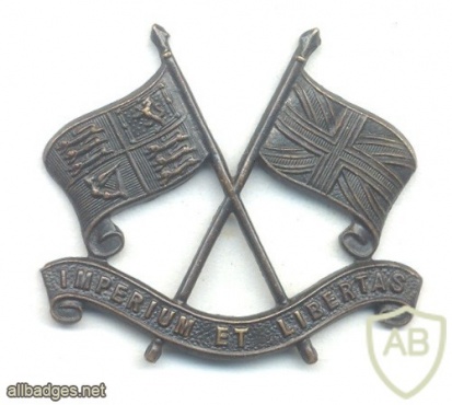 SOUTH AFRICA Union Defence Force/Army - Imperial Light Horse Collar Badge, 1939-1945 img38412
