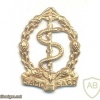 SOUTH AFRICA Union Defence Force - Medical Corps Collar Badge, 1959-1979