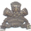 SOUTH AFRICA Special Service Battalion (SSB) Cap Badge