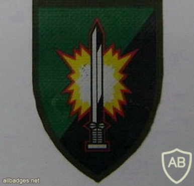 601st Assaf battalion img38418
