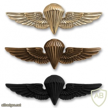 Navy and Marine Corps Parachutist Wings img38492