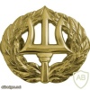 Navy Command Ashore Insignia img38534