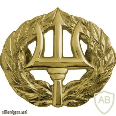 Navy Command Ashore Insignia img38534