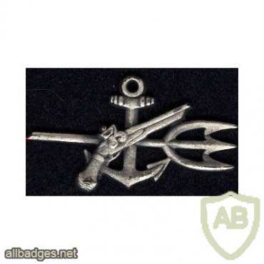 US Navy Special Warfare Operator rating, silver img38569