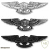 US Navy Enlisted Aviation Warfare Specialist Insignias img38539