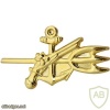 US Navy Special Warfare Operator rating, gold