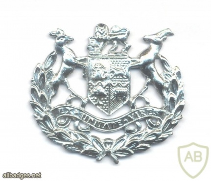 SOUTH AFRICA Defence Force (SADF) - Warrant officer class 1 rank badge, pre–1994 img38640