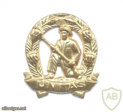 SOUTH AFRICA Defence Force (SADF) - Commando Infantry Collar Badge img38648