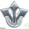SOUTH AFRICA Defence Force (SADF) - Corps of Professional Officers Cap Badge img38649