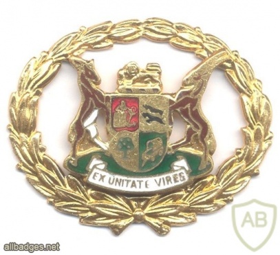 SOUTH AFRICA Police (SAP) - Warrant officer class 1 rank badge, pre–1994 img38651