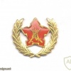 SOUTH AFRICA Defence Force (SADF) - 5 years service / volunteer breast badge img38638