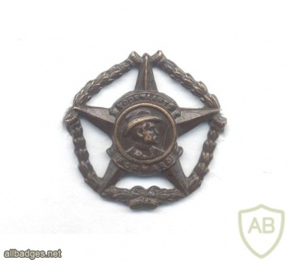 SOUTH AFRICA Defence Force (SADF) - Regiment Botha Collar Badge img38650