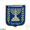סמל מדינת ישראל img38823