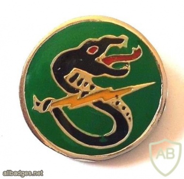 The Second Combat helicopters Squadron ( Black Snake Squadron ) - Squadron- 161 img39013